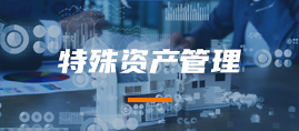 特殊资产管理