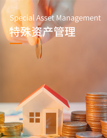 特殊资产管理、处置与重整盘活