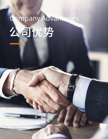 公司优势